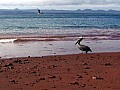 Isola Rabida 0010
