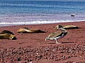 Isola Rabida 0011