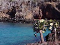 Isola Rabida 0019