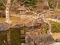Himeji-0022