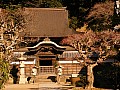 Kamakura-0005