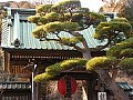 Kamakura-0020