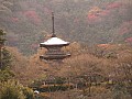 Kyoto-0008