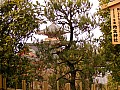 Kyoto-0012