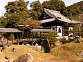 Kyoto-0023