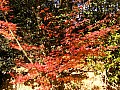 Kyoto-0025