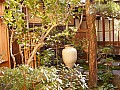 Kyoto-0026