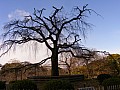 Kyoto-0030