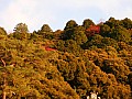 Kyoto-0036