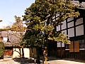Kyoto-0056