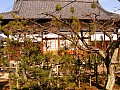 Kyoto-0058