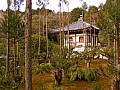 Kyoto-0067