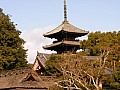 Kyoto-0073