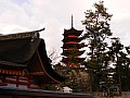 Miyagima-0007