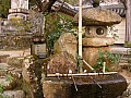 Miyagima-0009