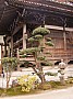 Miyagima-0010