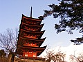 Miyagima-0013