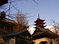Miyagima-0014