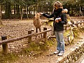 Nara-0001