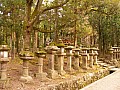 Nara-0002