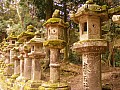 Nara-0005