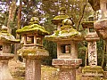 Nara-0006