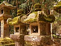 Nara-0007