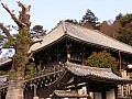 Nara-0018