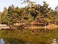 Nara-0027