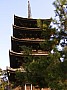 Nara-0036