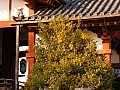 Nara-0039