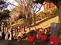 Nara-0040