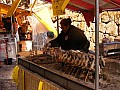 Nikko-0005