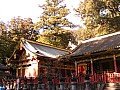 Nikko-0008