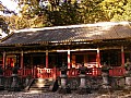 Nikko-0009