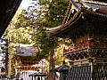 Nikko-0015