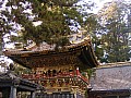 Nikko-0016