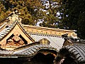 Nikko-0017