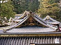 Nikko-0020