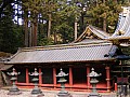 Nikko-0022