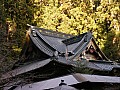 Nikko-0023