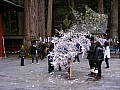 Nikko-0024