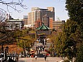 Tokyo-0014