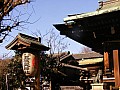 Tokyo-0016