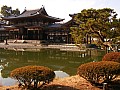 Uji-0003