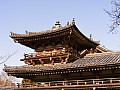 Uji-0007