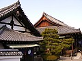 Uji-0008