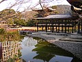 Uji-0009