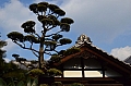 073 Fukuoka