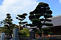 078 Fukuoka